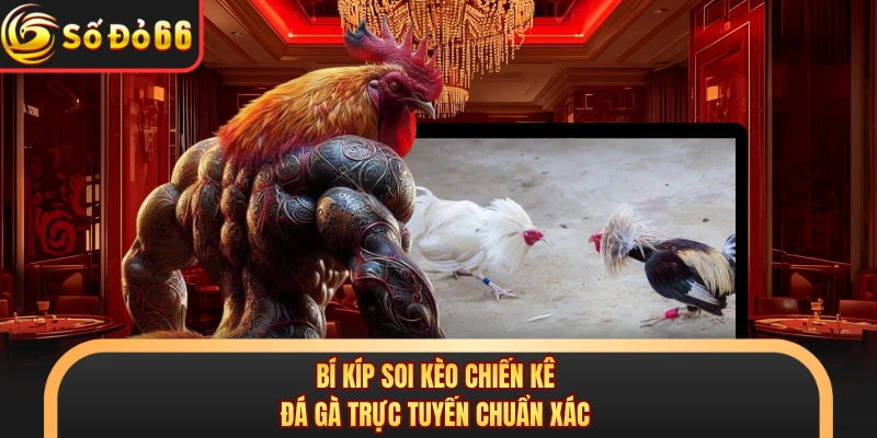 Đá Gà SODO66 - Đấu Trường Sản Sinh Ra Hàng Loạt Triệu Phú - oxivo.website