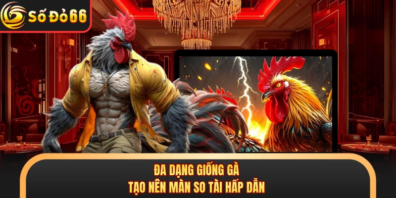 Đá Gà Thomo C2 Gây Chú Ý Với Giải Đấu Hấp Dẫn Tại SODO66 - oxivo.website