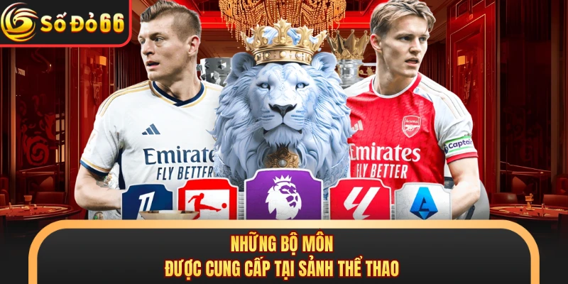 Thể Thao SODO66 - Càn Quét Thế Giới Kèo Cược Kịch Tính - oxivo.website