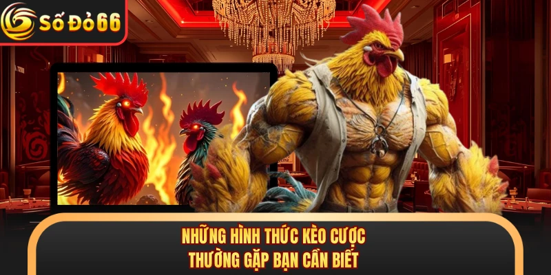 Đá Gà Cựa Sắt SODO66 - Mãn Nhãn Với Từng Đòn Chí Mạng - oxivo.website