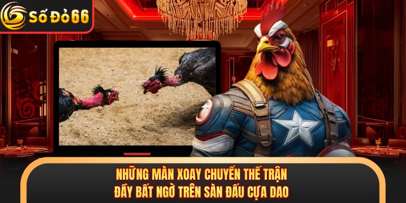 Đá Gà Cựa Dao SODO66 - Võ Đài Của Những Chiến Kê Sắt Bén - oxivo.website
