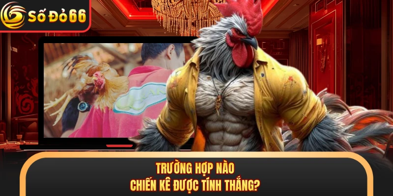 Đá Gà Cựa Sắt SODO66 - Mãn Nhãn Với Từng Đòn Chí Mạng - oxivo.website
